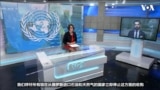 美国务院中文发言人：美国还是支持和平谈判解决俄乌战争