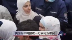 美国明年将接收一万叙利亚难民