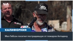 Поиски виноватых 