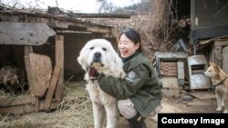 國際人道協會韓國辦事處《終結狗肉交易運動》經理金娜拉（Nara Kim）(照片提供:金娜拉)