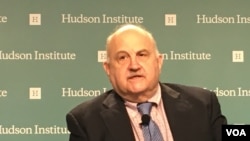 美國民主中心資深研究員斯蒂芬·布萊恩(美國之音鍾辰芳拍攝)