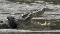 Personality ແມ່ນລັກສະນະທ່າທີຄວາມຮູ້ສຶກ ແລະການປະພຶດຈຳນວນນຶ່ງ ທີ່ເຮັດໃຫ້ຄົນແຕກຕ່າງ ຈາກກັນແລະກັນ