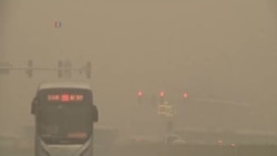 研究人員稱空氣污染導致每年550多萬人過早死亡