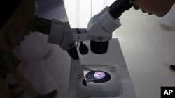 在北京第21屆國際科技產業博覽會上有人在通過顯微鏡看電腦晶片