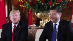 年终报道：川习第一年，交手也交心