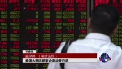 VOA连线：中国经济仅仅是放缓还是已经陷入危机？