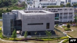 中國科學院武漢病毒所
