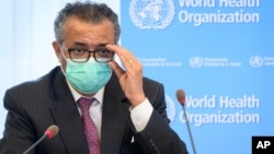 世衛組織總幹事譚德塞。 