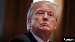 美國總統特朗普在白宮舉行內閣會議。 （2019年1月2日）