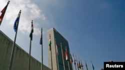 İtalya&#39;nın Roma kenti, günbatımında &nbsp;sığırcık kuşlarının istilasına uğradı.