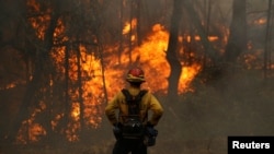 一名美国加州的消防队员监察着山火火情。（2020年10月2日）