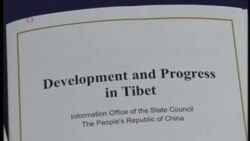 習近平政府人權紀錄在聯合國審議時遭批評