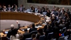 2015-04-15 美國之音視頻新聞:聯合國安理會批准對也門武器禁運