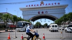 中國網絡觀察：三文魚背鍋