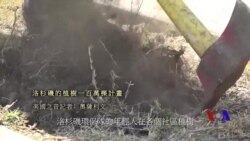 美國專訊 723 (2018年3月11日)