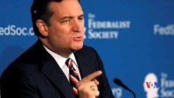 2017-01-09 美國之音視頻新聞: 克魯茲參議員指中國無權阻美國官員與何人會面