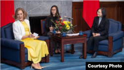 台灣總統蔡英文2020年2月18日接見友邦駐紐約聯合國常任代表訪問團(台灣總統府提供)