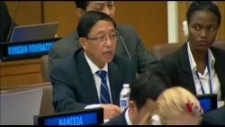 联合国缅甸事务特使：仇恨言论导致暴力