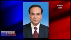 焦点对话：孙政才落马，中共官员纷纷“落井下石”？