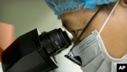 科學家正研究基因編輯嬰兒（美聯社）