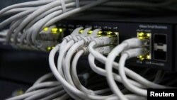 連接電腦網絡的線路。