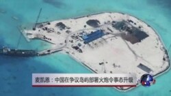 麦凯恩：中国在争议岛屿部署火炮令事态升级