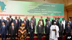 日本首相安倍晋三与出席东京非洲发展国际会议的非洲国家代表。（2013年6月1日）