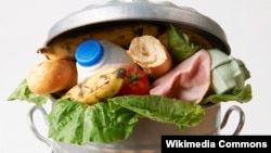 打折促銷應用程式説明減少食物浪費