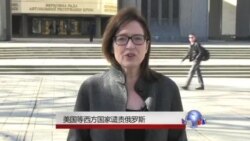 美国等西方国家谴责俄罗斯