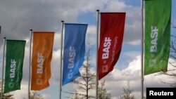 德國化學公司巴斯夫公司的旗幟 。 