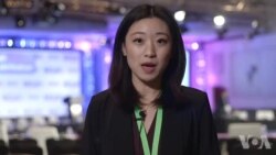 2018全美州长协会兼顾国际合作和国内议题