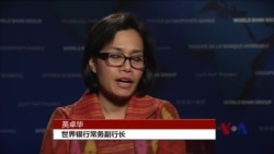 世界银行: 巴拿马文件显示需要变革