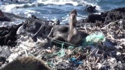 一步一个脚印 打击塑料污染