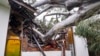 A tree uprooted by high winds lies in the rubble of a structure in Elanora, Australia, as Cyclone Alfred passed near the Gold Coast on March 8, 2025.