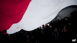 开罗解放广场上的抗议者挥舞一面旗帜