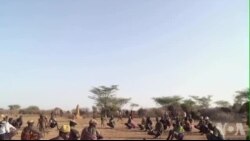 肯尼亚“黑金”是祸还是福？