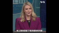 白宫：特朗普考虑对药品、芯片等课征关税符合《美国优先贸易议程》