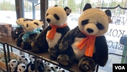 動物園售票處，紀念品貨架上堆滿了熊貓娃娃 (美國之音/李北平攝)