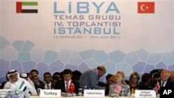 美國在內的30多個國家在伊斯坦布爾宣佈承認利比亞反對派