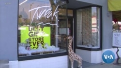 Gender Neutral Toys Moving Into Toy Markets