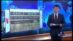 VOA卫视(2016年1月5日 第一小时节目)