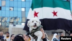 敘利亞首都大馬士革，一名女子高舉愛犬，和群眾慶祝阿薩德家族半世紀的威權統治終於畫下句點。 (美聯社：2024年12月13日)