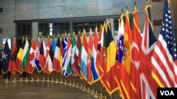 2019年4月3日北约互动论坛上的北约成员国国旗（美国之音黎堡）