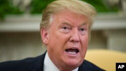 美国总统特朗普2019年5月3日在白宫椭圆形办公室。