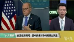 白宫要义(黄耀毅):白宫经济顾问：美中尚未对中兴案做出决定