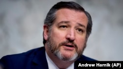 來自德克薩斯州的共和黨籍聯邦參議員泰德·克魯茲