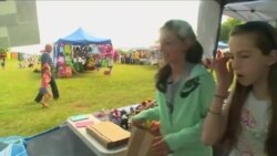 少女成立组织 用泥大象拯救真大象