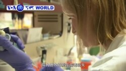 VOA國際60秒(粵語): 2019年3月5日