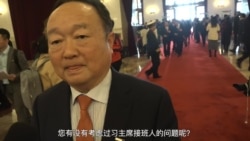 中国人大代表议领袖谈国是