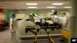 醫療專家：全美協調政策是抗擊疫情關鍵